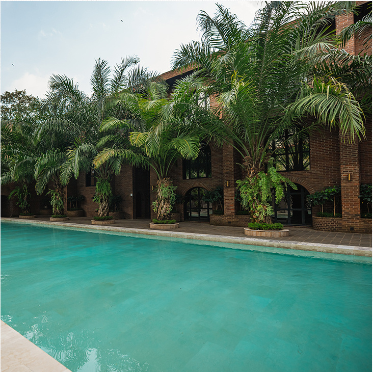 Pool lined with palm trees in front of the hub's brick residences.